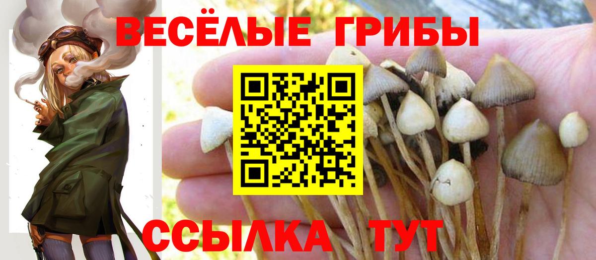 Псилоцибиновые грибы прущие грибы  Галлюциногенные грибы MAGIC MUSHROOMS  Вход с VPN  Ханты-Мансийск 